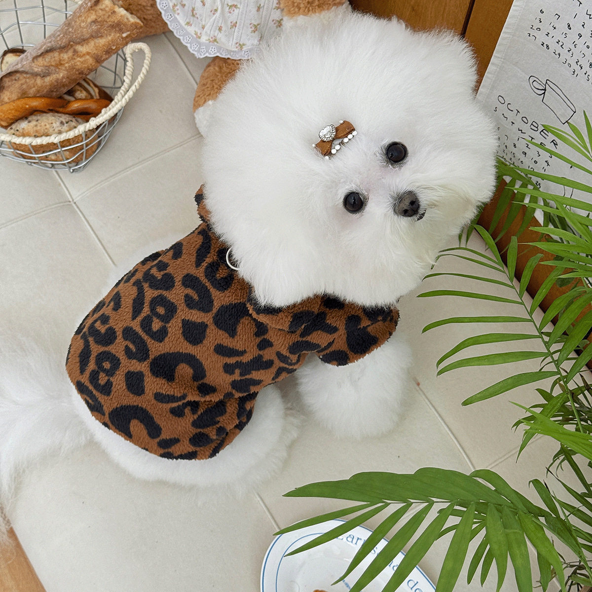 冬季毛绒加厚可牵引宠物衣服两脚衣连帽衫卫衣猫咪小型犬狗狗上衣,淘宝优惠券,粉丝福利购,淘宝优惠卷