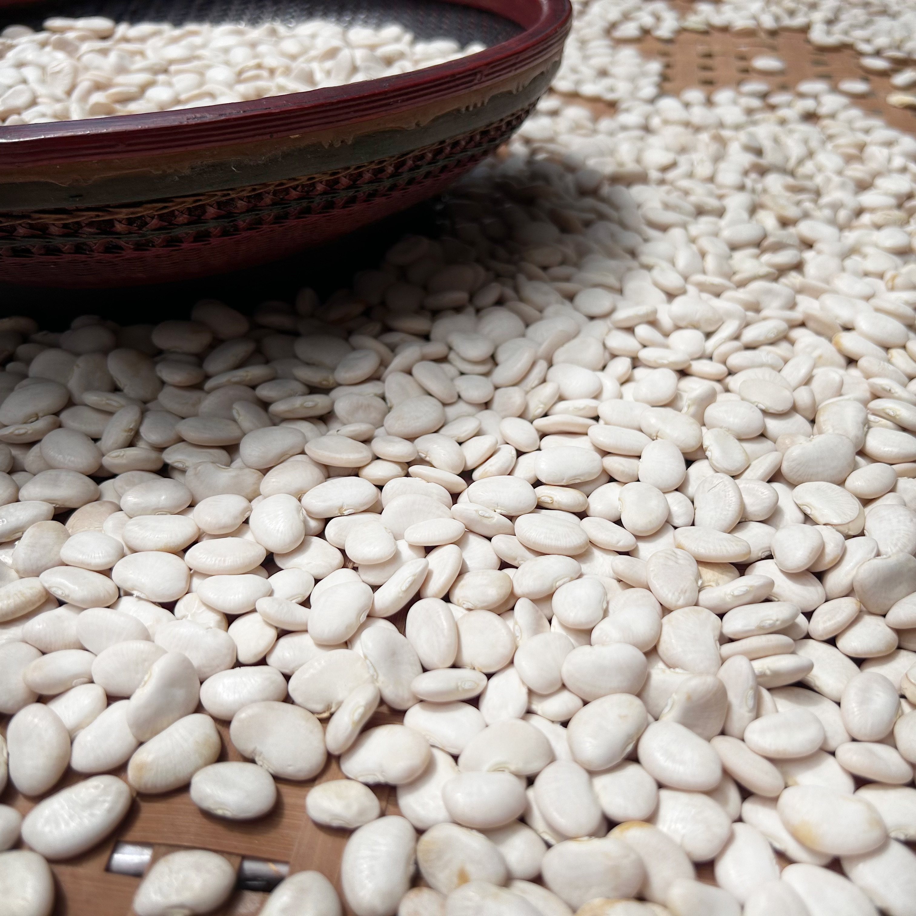 福建宁德新货农家自晒白玉豆干直销洋扁豆干剥壳可种籽大颗粒高山