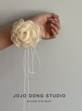 小香风复古项链系带choker