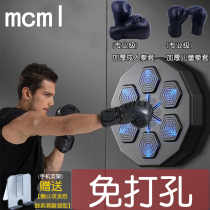 Electronic Smart Music Boxing Machine Trainer Light Rhythm Music Boxing Boxing Fists Fast Test Wall Target Hang