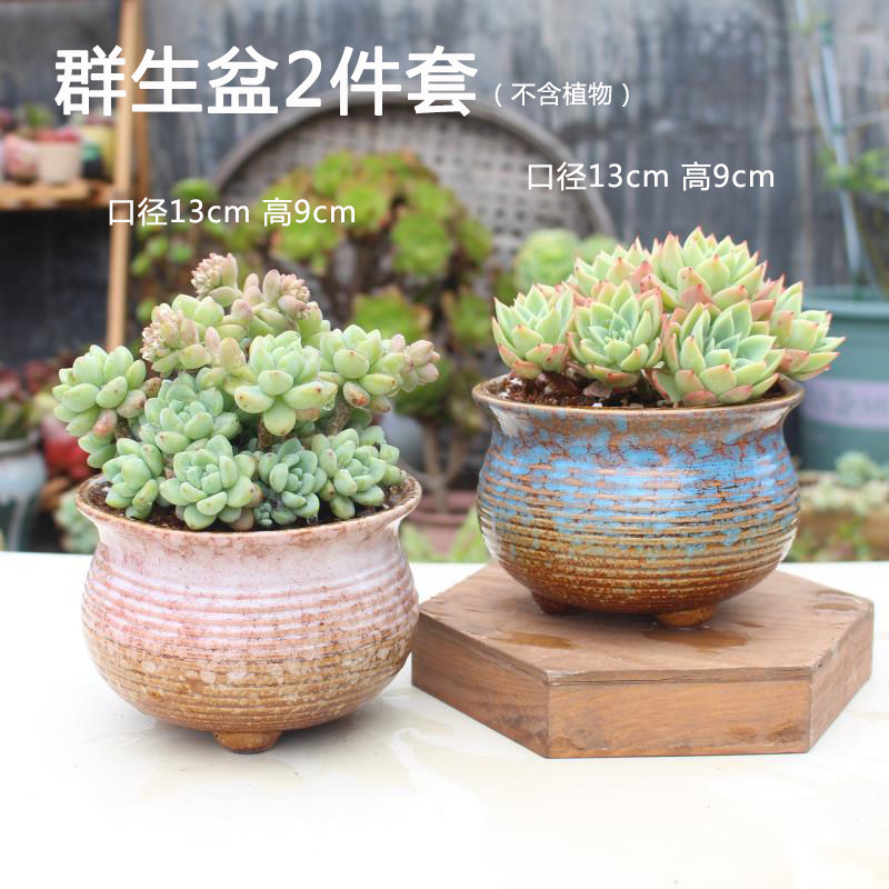 北欧群生多肉花盆家用阳台红陶大口径陶盆陶土创意粗陶大小陶瓷盆