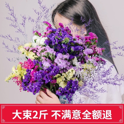 云南风干勿忘我论斤卖干花花束装饰摆件真花鲜花送人礼物插花纪念