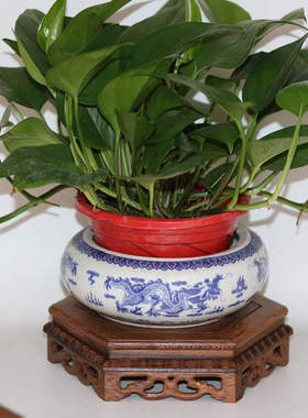 惊爆价爆款鸡翅木玉石底座花盆架