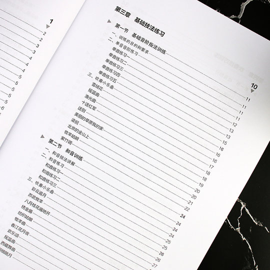 笙入门基础教程 从零起步学吹笙乐器教程笙教材笙书 笙乐曲谱子书 流行歌曲简谱入门初学者书 笙乐曲乐谱简谱教学笙曲集考级教程