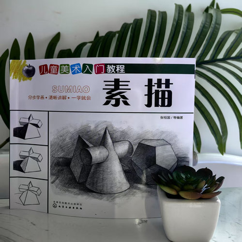 6-12岁 儿童美术入门教程 素描 素描书入门美术教材程临摹画册几何体静物人物头像手绘画书籍铅笔画画自学零基础儿童初学者范本 - 图0