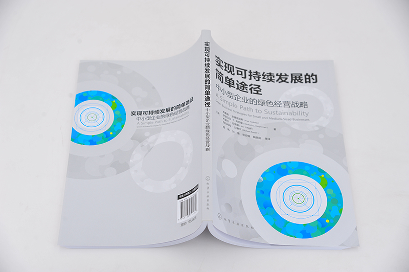 实现可持续发展的简单途径 中小型企业的绿色经营战略 可持续发展战略在多种类型中小型经济类型中应用的现状和前景 环境管理书籍 - 图1