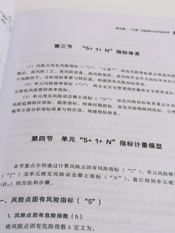 企业安全风险评估技术与管控体系研究丛书危险化学品企业重大风险辨识评估与分级管控刘凌燕危险化学品相关企业安全管理者参考-图0