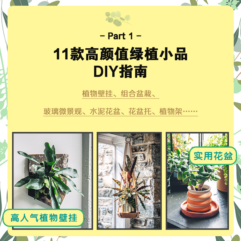 植物风格3玩转绿植植物装饰手作指南 ins人气绿植设计师教你玩转绿植用绿植自制点亮空间室内园艺小品植物养护与布置技巧书籍-图1