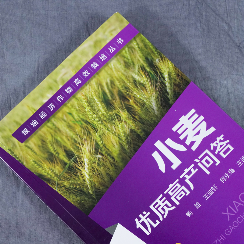 小麦优质高产问答 杨雄 王迪轩 何永梅 粮油经济作物高效栽培丛书 第2二版 小麦高效栽培种植技术大全 科学种植小麦书籍 - 图0