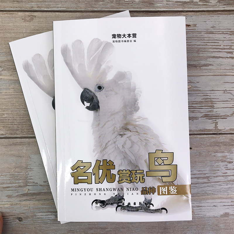 3册 名优赏玩鸟品种图鉴+名优宠物猫品种图鉴+名优宠物狗品种图鉴 宠物狗猫鸟品种大全 宠物猫狗饲养喂养指南手册 宠物入门书