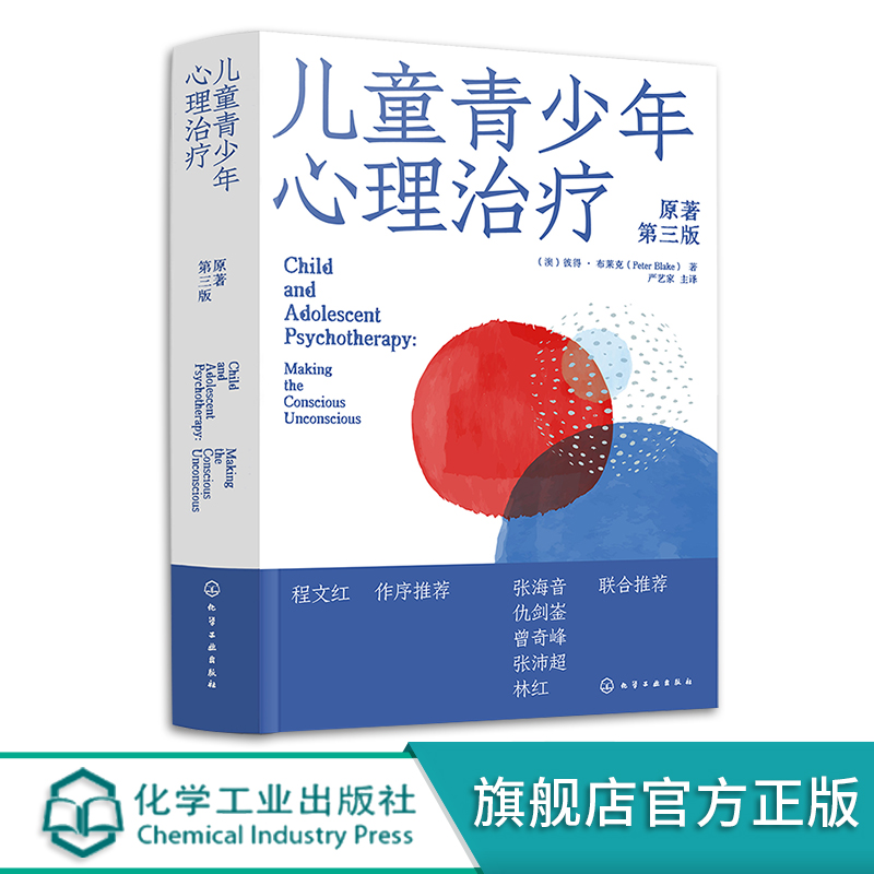 儿童青少年心理治疗 儿童青少年心理治疗启蒙入门书 儿童精神分析理论 心理咨询师儿童心理治疗临床实践 儿童青少年心理咨询教材 - 图3