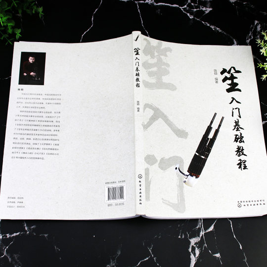 笙入门基础教程 从零起步学吹笙乐器教程笙教材笙书 笙乐曲谱子书 流行歌曲简谱入门初学者书 笙乐曲乐谱简谱教学笙曲集考级教程