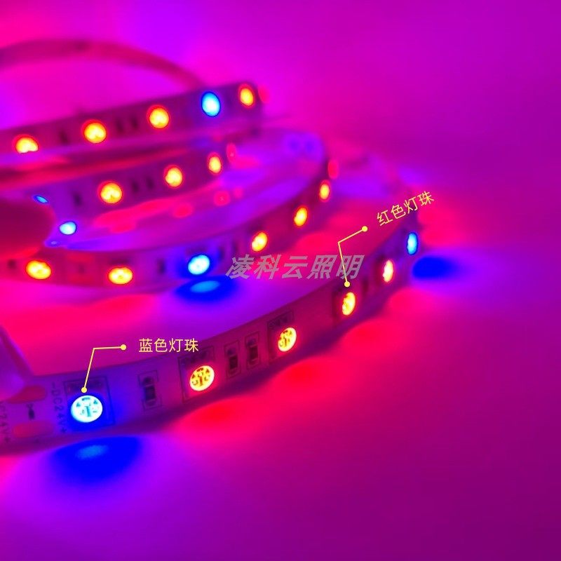 12V24V5050不防水4红1蓝5红1蓝7红1蓝8红1蓝植物草莓多肉LED灯带,淘宝优惠券,粉丝福利购,淘宝优惠卷