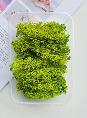 永生花苔藓植物墙装饰背景墙干花钥匙挂件制作diy材料包车挂材料