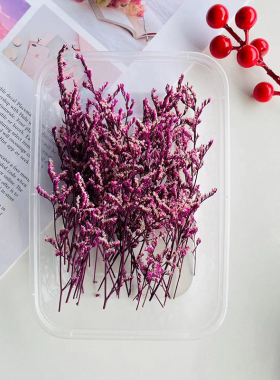 永生情人草干花diy香薰蜡烛