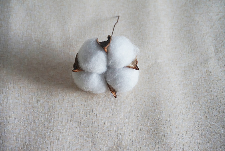 棉花干花包花束手工diy永生花单枝新品迷你客厅天然风干插花材料,淘宝优惠券,粉丝福利购,淘宝优惠卷