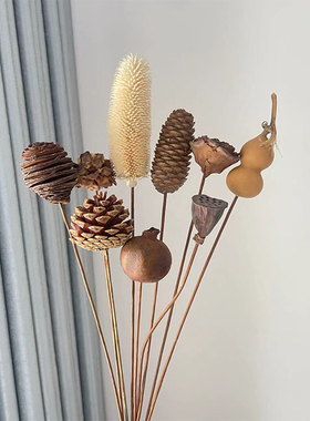 进口天然干花干果装饰摆件田园风格家居民宿摆设插花材料拍摄道具