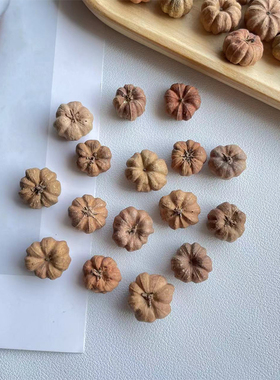 进口植物果实小桔瓜迷你小南瓜手工diy材料干花干果植物果实标本
