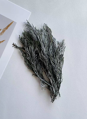 永生松柏少女松diy花材圣诞环配草鹿角松栢绿叶银色礼盒包装贺卡
