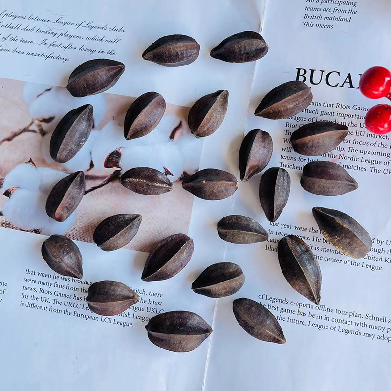 使君子五角桃天然植物干花diy留求子史君子手工香薰材料装饰品,淘宝优惠券,粉丝福利购,淘宝优惠卷