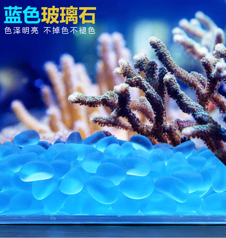 小鱼缸彩石造景仿真水草摆件水族箱乌龟缸装饰水草套餐假塑料水草-图1