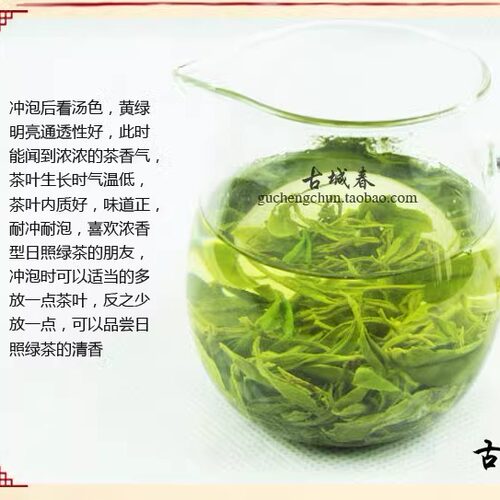 日照绿茶2026新茶春茶板栗浓香型一级炒青500克散装自产自销 - 图2