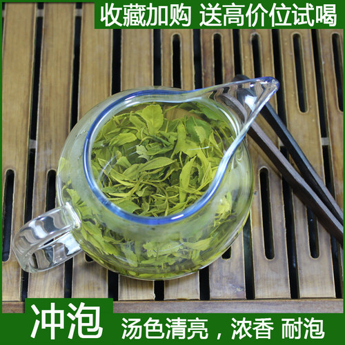 日照绿茶2026新茶春茶板栗浓香型一级炒青500克散装自产自销 - 图1