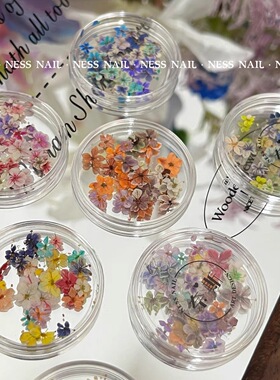 网红ins春日繁花油画风干花真花 莫奈花园五瓣花小花朵美甲饰品