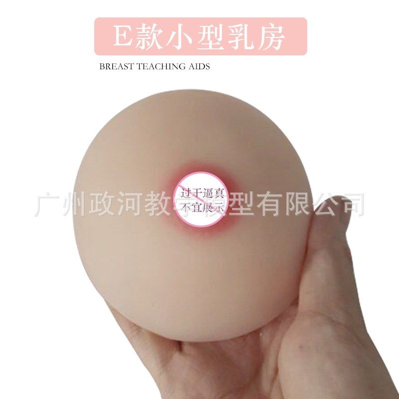 催乳师培训医学用软硅胶假乳房家政技校医院示范教学乳房模型教具,淘宝优惠券,粉丝福利购,淘宝优惠卷