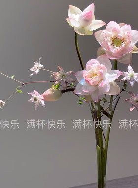 花瓶轻奢高级感迷你花器客厅大口径玻璃透明摆件鲜花北欧插花装饰