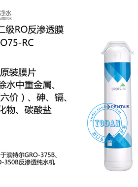 滨特尔PENTAIRRO350B/375B滤芯