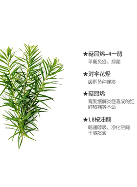 K家茶树单方精油15ml香薰按摩油