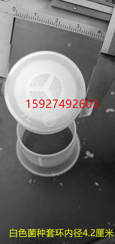 食用菌菌种盖套环无棉海绵盖体菌种环黑色白色出菇环袋口封口器 - 图1