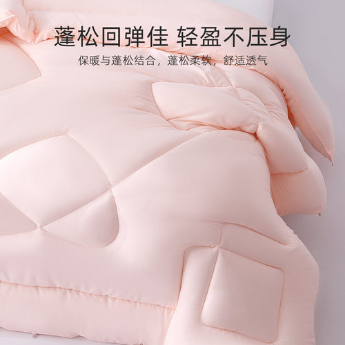 水星家纺七孔纤维冬被双胎被学生宿舍专用二合一子母被芯春秋棉被 - 图2