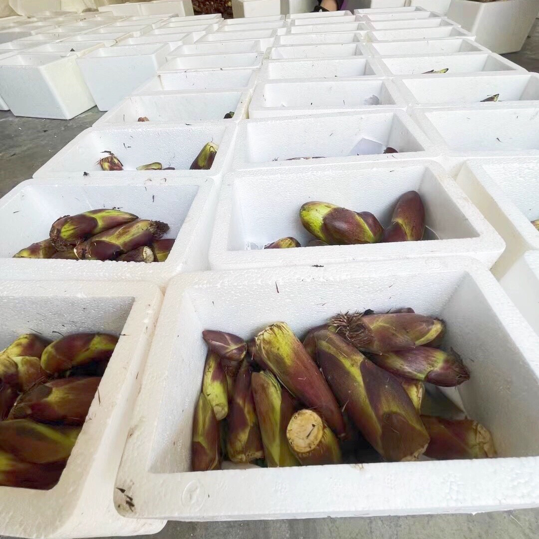 现货现摘纯天然新鲜野菜野生刺嫩芽乌龙头刺老芽精品树头菜刺老苞 - 图1