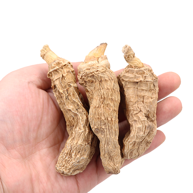 万圣金康神农架纯野生冬天麻天麻 圣武食品天麻