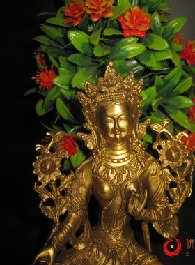 绿度母救度速勇母救八难度母