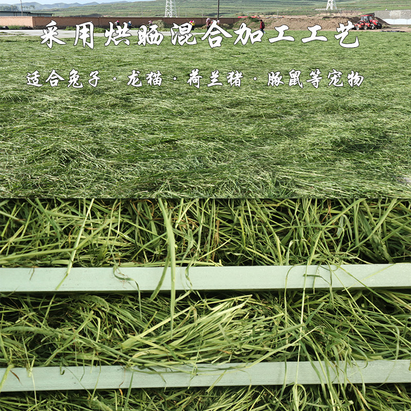 晒干提摩西干草磨牙兔草岷县北提宠物豚鼠龙猫荷兰猪专用提草饲料,淘宝优惠券,粉丝福利购,淘宝优惠卷