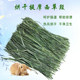 Beiti Forest Timothy box-packed grass section directly delivered from the origin