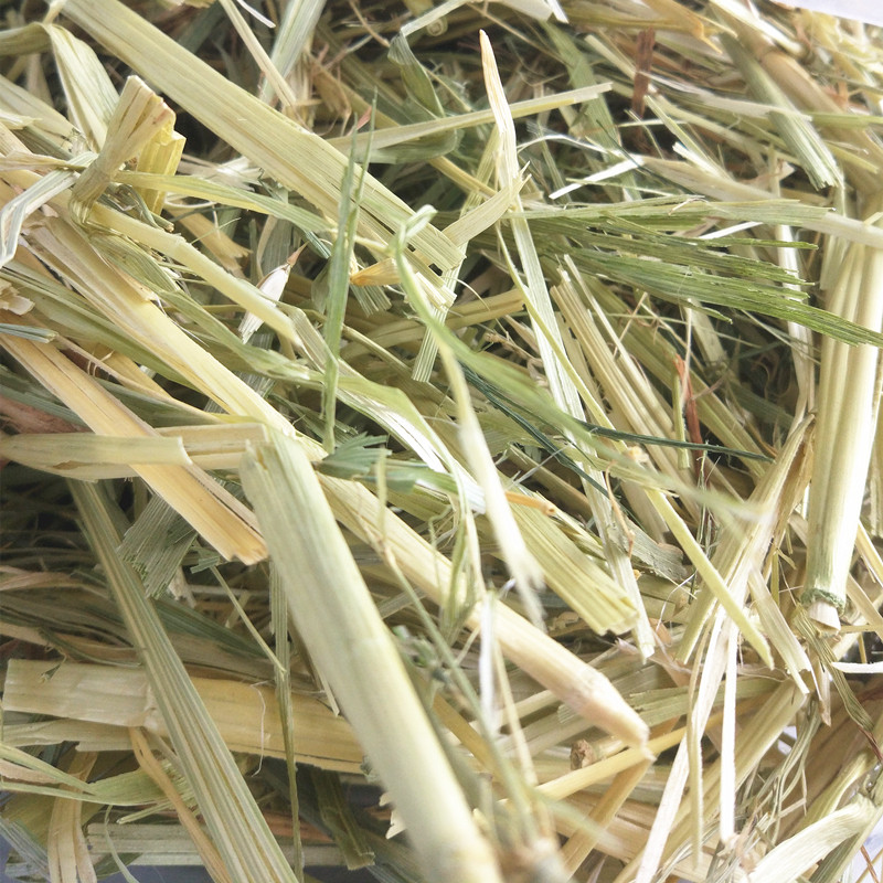 优质国产澳燕麦草一斤袋装宠物兔子草牧草替代提摩西干草,淘宝优惠券,粉丝福利购,淘宝优惠卷