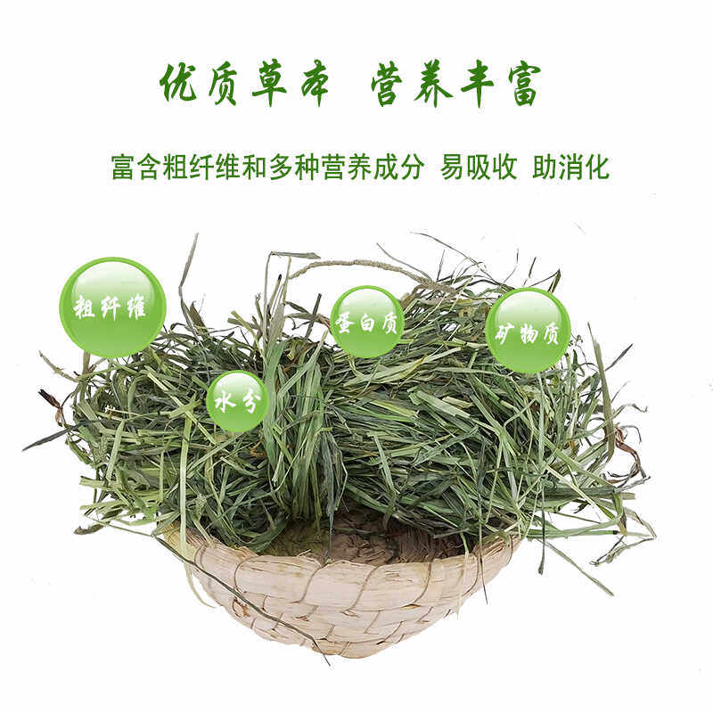 2025年提摩西草半烘干特优提草北提牧草龙猫荷兰猪磨牙兔兔干草,淘宝优惠券,粉丝福利购,淘宝优惠卷
