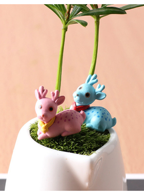 微景观卡通盆栽可爱风公仔小摆件