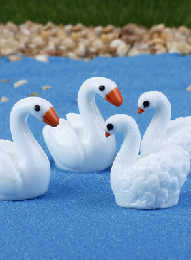 微景观多肉园艺盆栽情侣小摆件