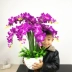 Đặc biệt hàng ngày phòng khách đồ nội thất mô phỏng Phalaenopsis chậu hoa đặt đồ trang trí đồ trang trí trong nhà nhựa giả - Trang trí nội thất