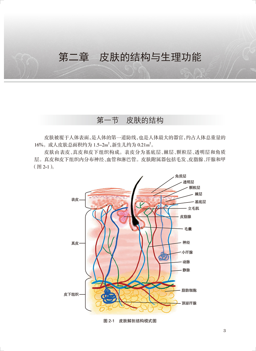 现货正版 中西医结合皮肤病学 创新教材 中国中医科学院研究生系列教材 崔炳南 人民卫生出版社9787117336734 - 图3