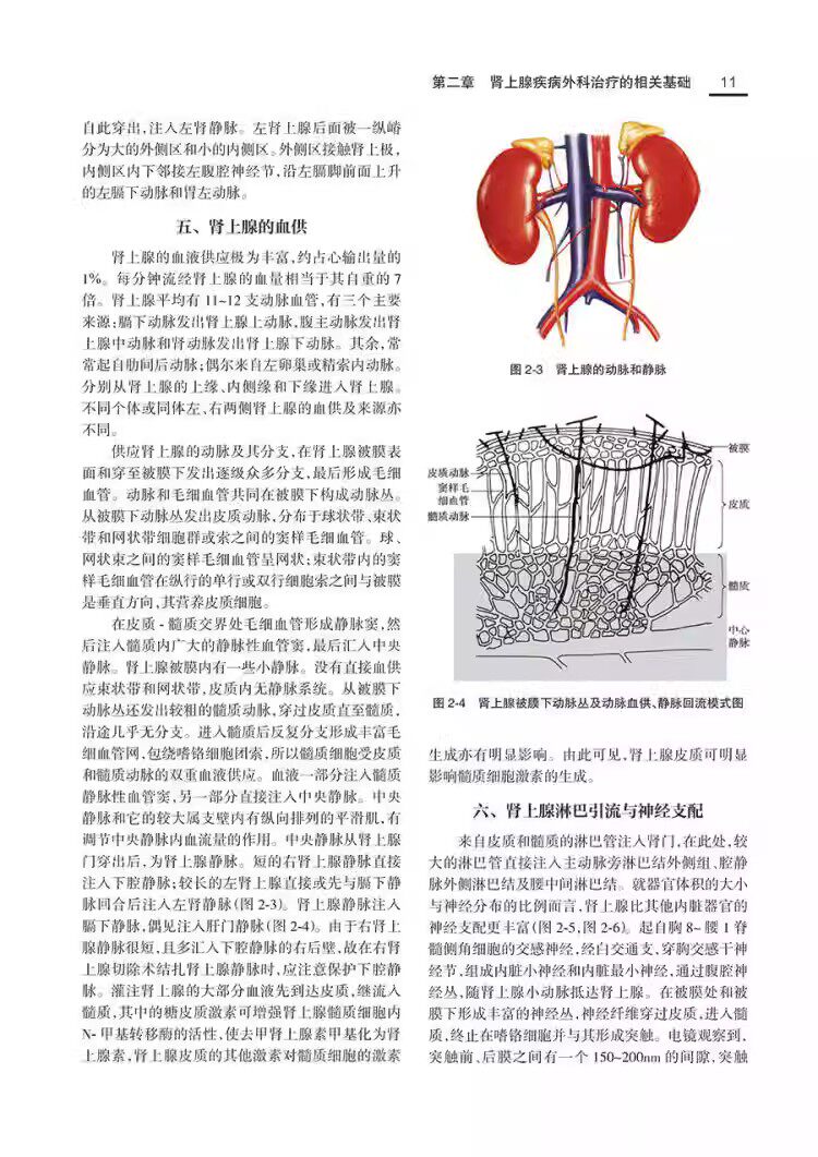DP 现代泌尿外科学 牛远杰韩瑞发外科学第9版配增值45个视频诸福棠实用外科学手术肾上腺激素肾上腺疾病与外壳治疗人民卫生出版社