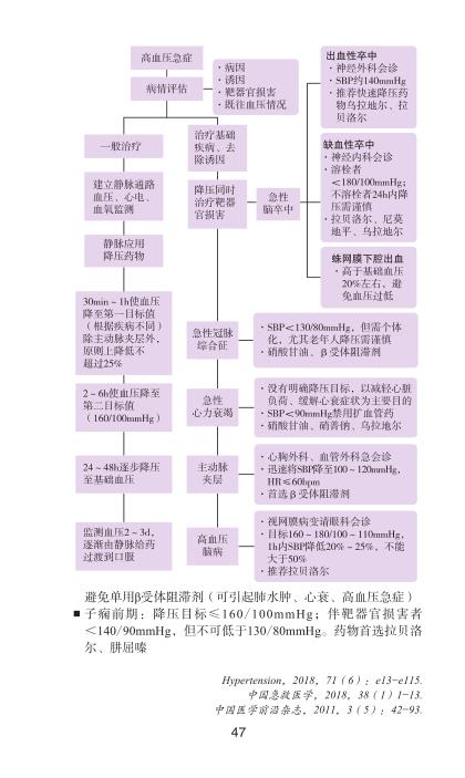 协和内科住院医师手册第三版3版施文沈恺妮实用临床医生内科学查房急诊工作规范操作手册心血管消化神经呼吸心内科医科大学出版 - 图1