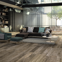 Spanish original imported beauty raw Mason Lie modern minimalist floor tiles Alabama MG3103-F3