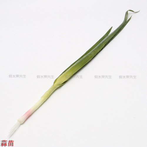 仿真蔬菜假水果食品模型饭店样板房装饰品摄影道具仿真大蒜苗葱苗 - 图1
