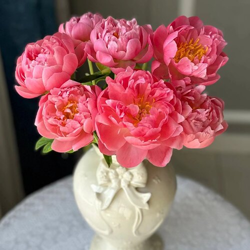 【A+级】进口芍药花牡丹鲜花大花苞直发重瓣花卉现采现发室内插花 - 图1